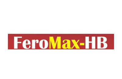 FeroMax-HB Syrup